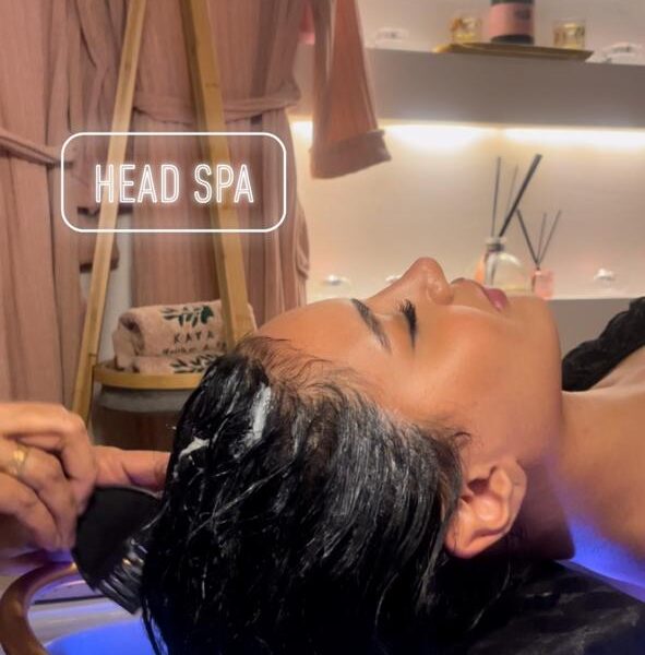 WhatsApp Image 2024 11 20 at 5 40 41 AM 1 591x600